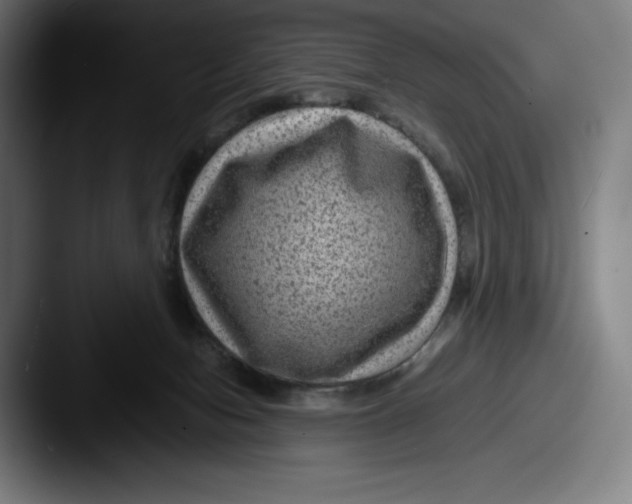 X0000087580078200705181208