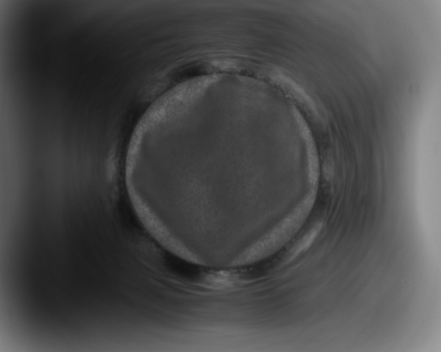 X0000087580079200705181208