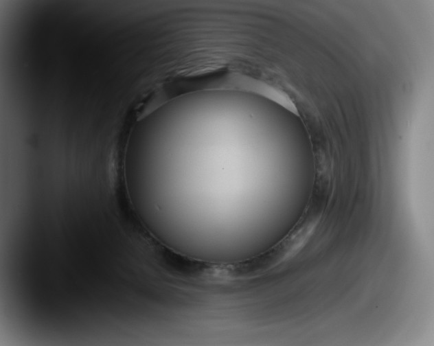 X0000087580080200705181208