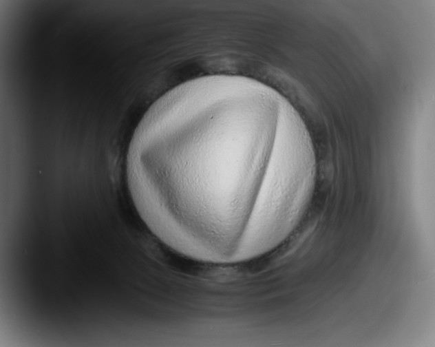X0000087580081200705181208
