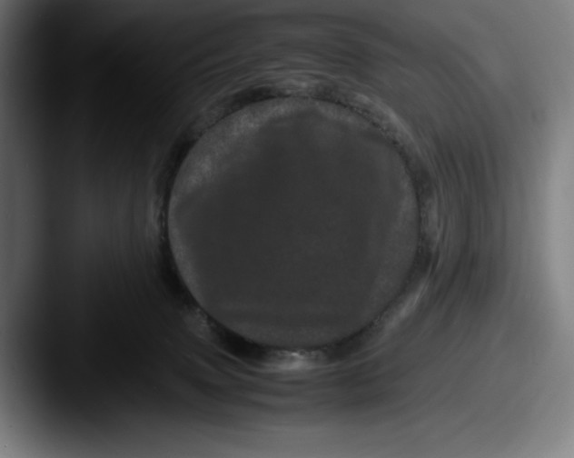 X0000087580083200705181208