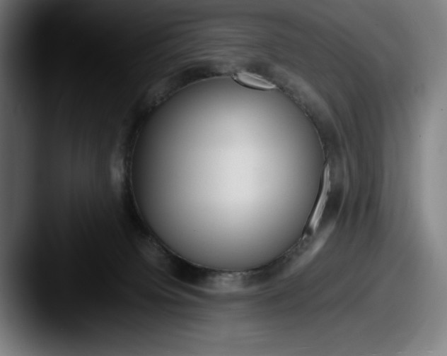 X0000087580084200705181208