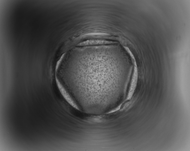 X0000087580086200705181209