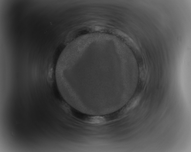 X0000087580087200705181209