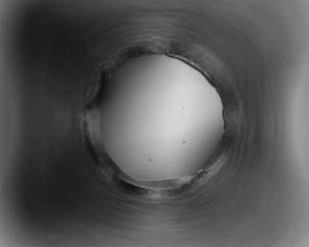 X0000087580088200705181209