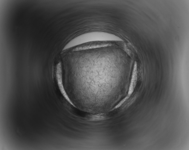 X0000087580093200705181209