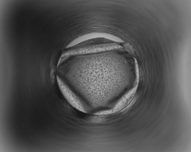 X0000087580094200705181209