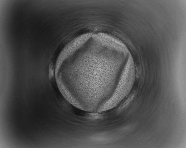 X0000087580095200705181209
