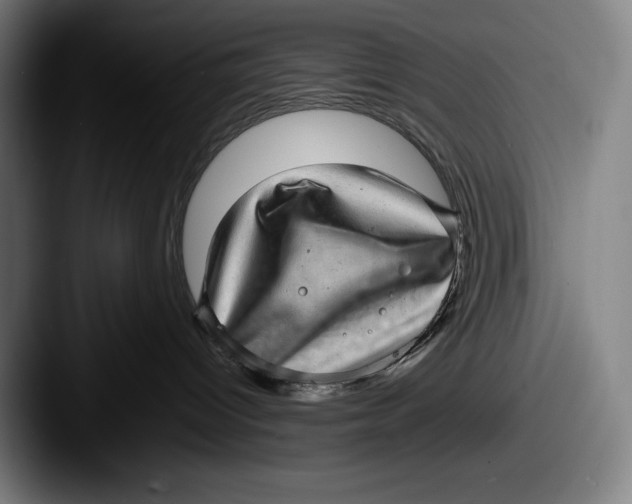 X0000087580096200705181209