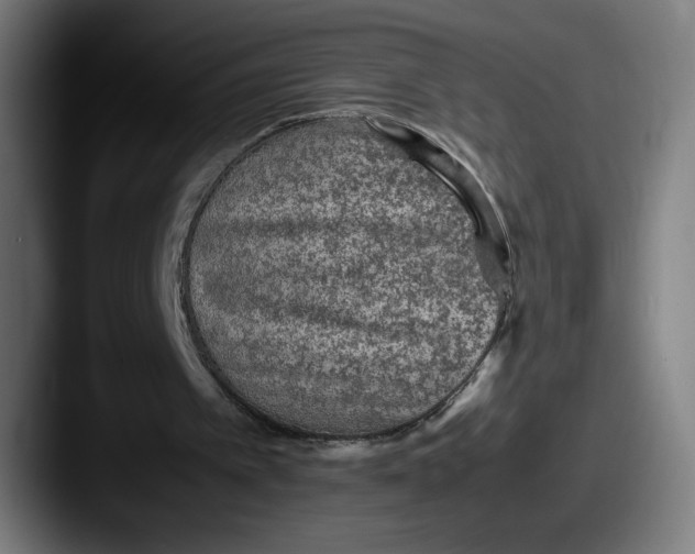X0000087580097200705181208