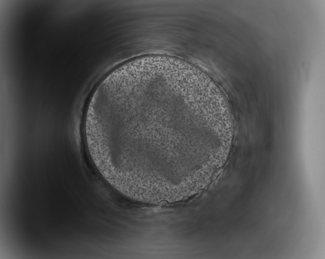 X0000087580098200705181208