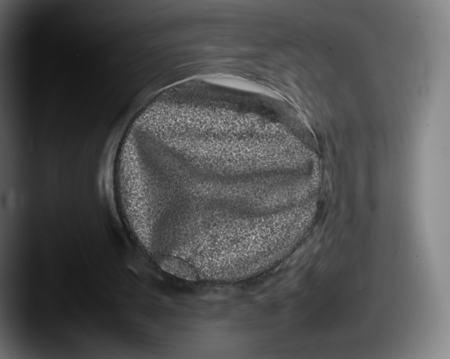 X0000087580099200705181208