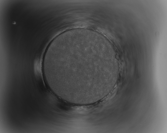 X0000087580100200705181208