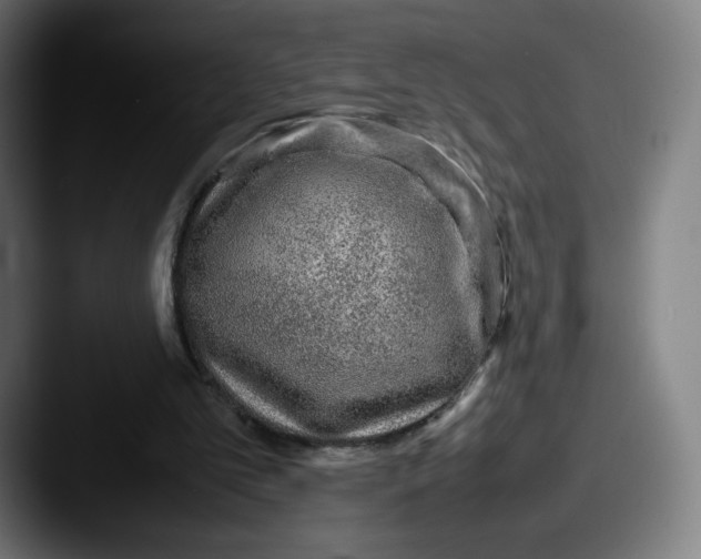 X0000087580101200705181208