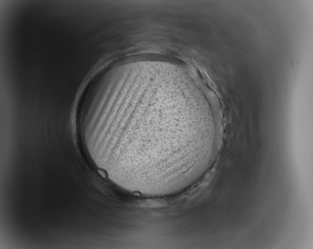 X0000087580102200705181208
