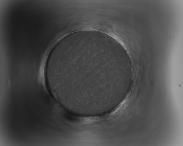 X0000087580103200705181208