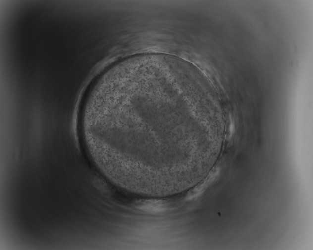 X0000087580104200705181208