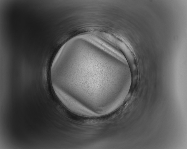 X0000087580105200705181208