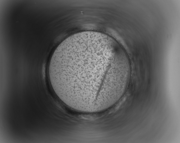X0000087580106200705181208