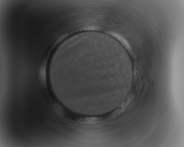 X0000087580108200705181208