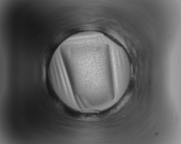 X0000087580109200705181208