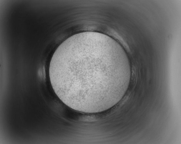 X0000087580110200705181208