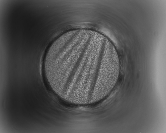 X0000087580111200705181208