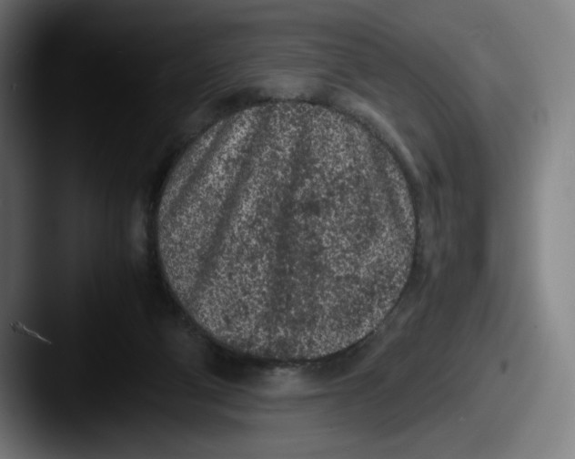 X0000087580114200705181208