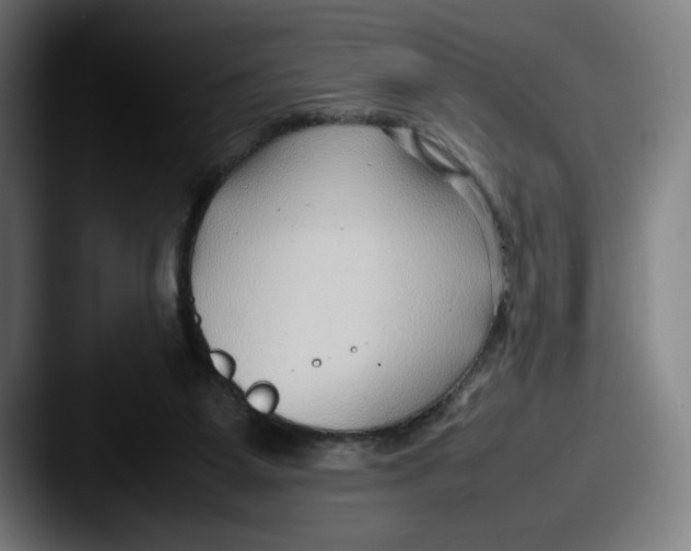 X0000087580115200705181208