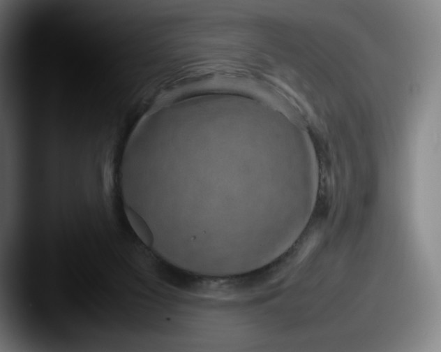 X0000087580117200705181208