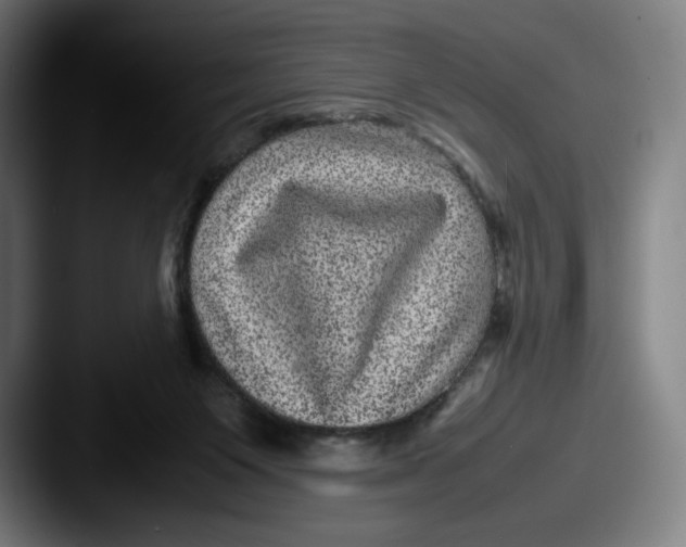 X0000087580119200705181208