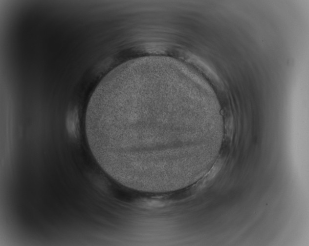 X0000087580120200705181208