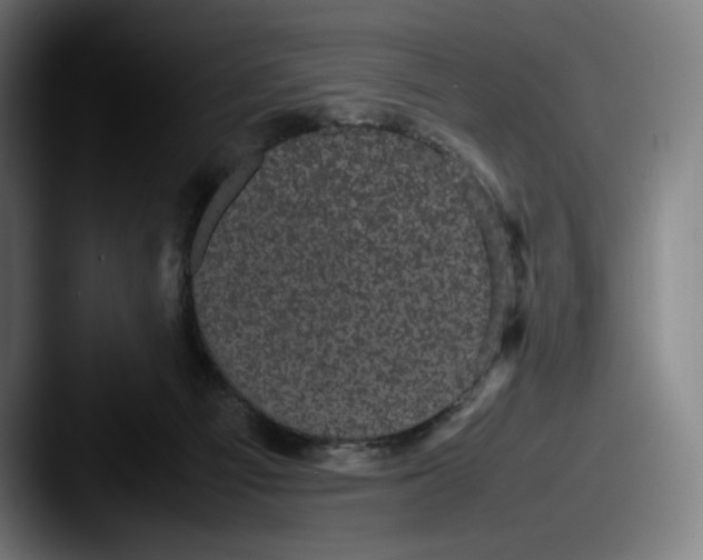 X0000087580121200705181208