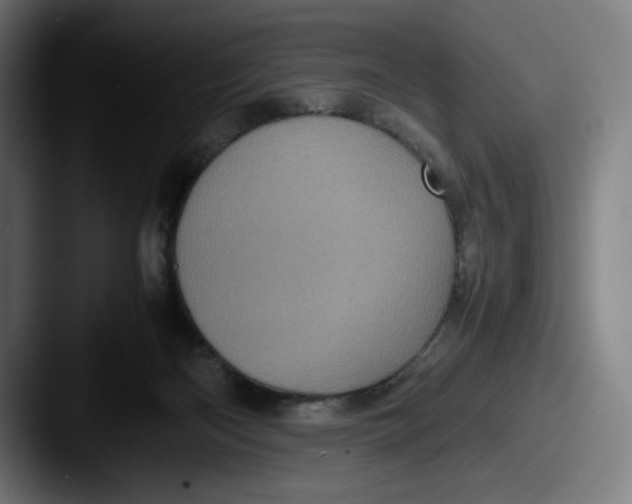 X0000087580122200705181208