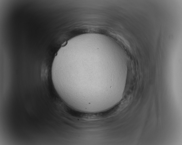X0000087580123200705181208