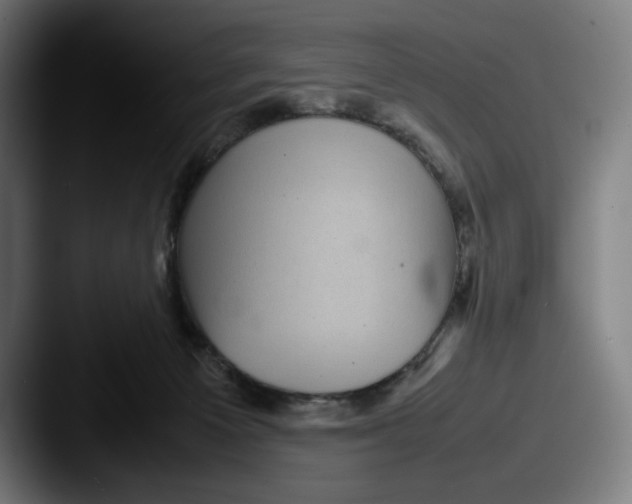 X0000087580125200705181208