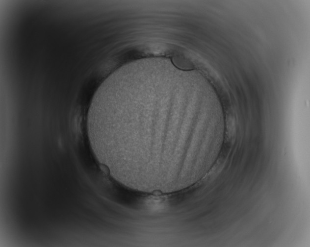 X0000087580126200705181208