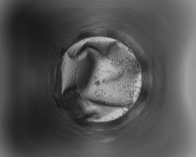 X0000087580127200705181208