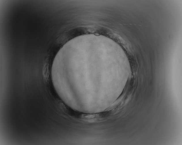 X0000087580129200705181208