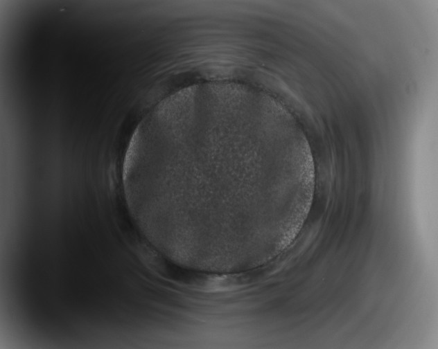 X0000087580130200705181208