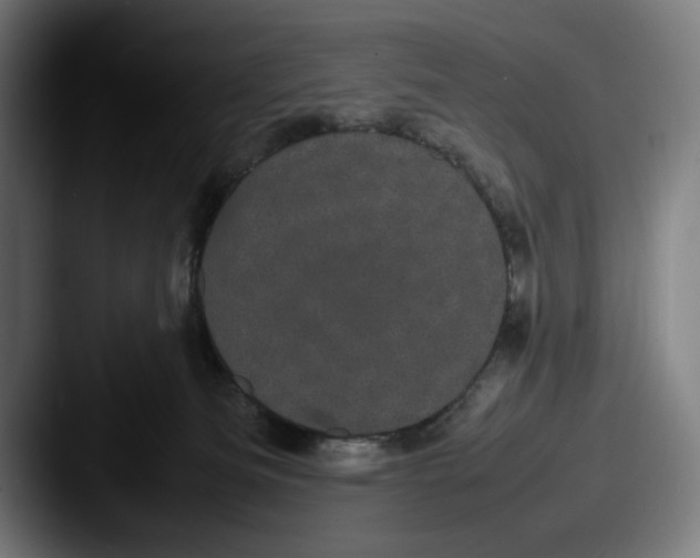 X0000087580133200705181208