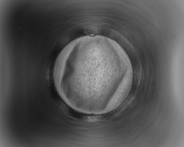 X0000087580134200705181208