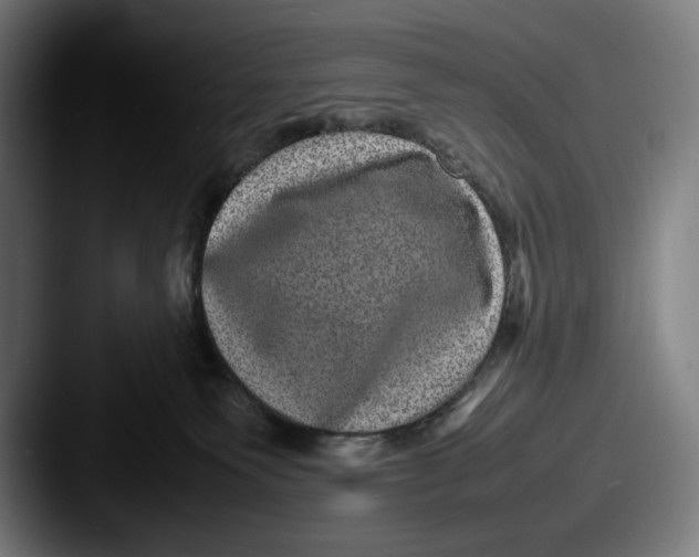X0000087580135200705181208