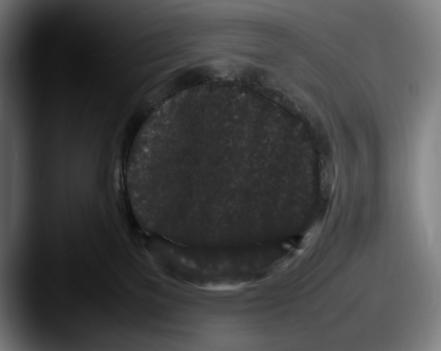 X0000087580137200705181208