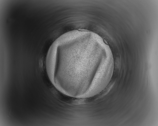 X0000087580138200705181208