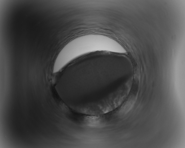 X0000087580139200705181208