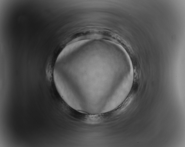 X0000087580141200705181208