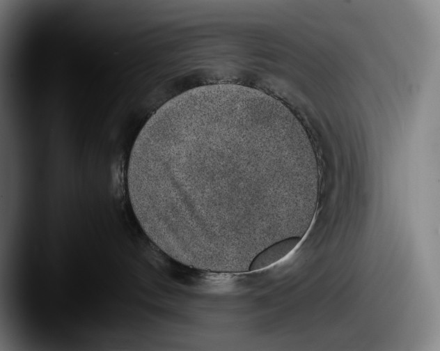 X0000087580144200705181208