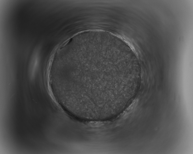X0000087580145200705181207