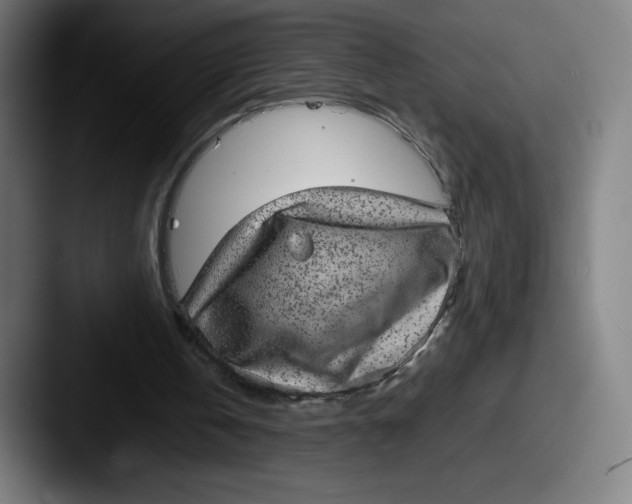 X0000087580146200705181207